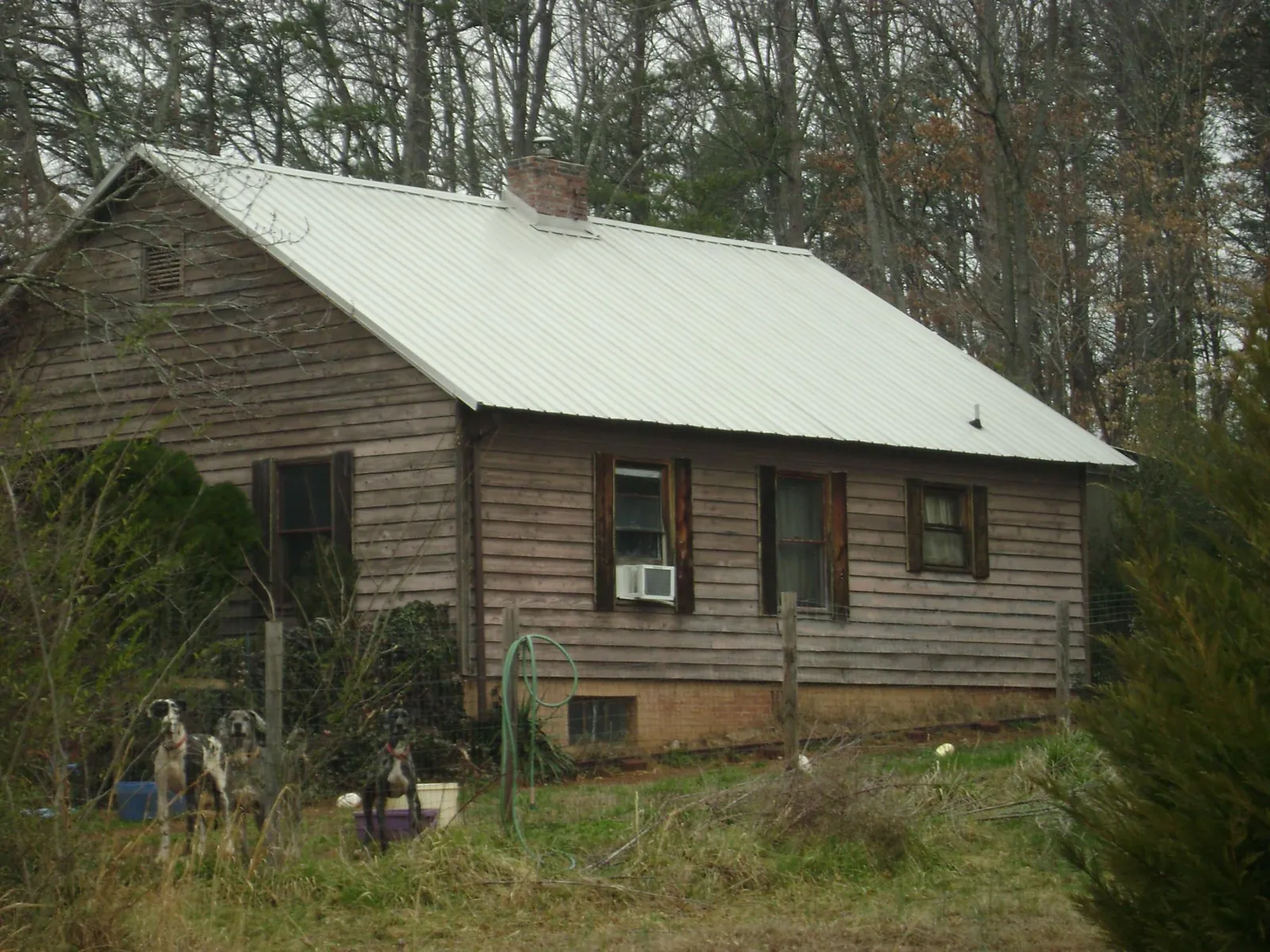White metal roof on an old wood sided farmhouse, from a Asphalt Shingle Roof Repair job in Chimayo